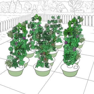 Community Garden